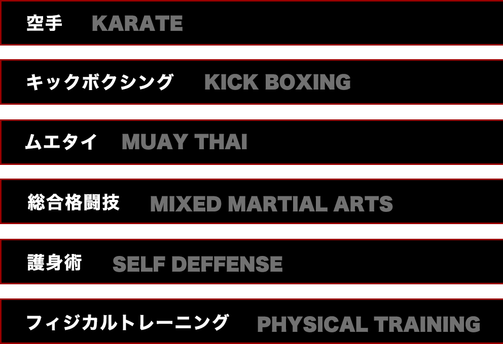 空手 キックボクシング ムエタイ 総合格闘技 護身術 フィジカルトレーニング