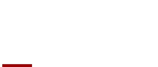 世界総合武道連盟 日壮会館 館長 岩本賢二について